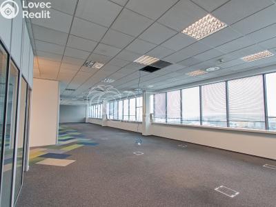 Аренда офисного помещения Praha, Türkova č. 3