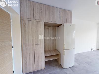 Pronájem bytu 1+KK Opava, Holasická č. 6