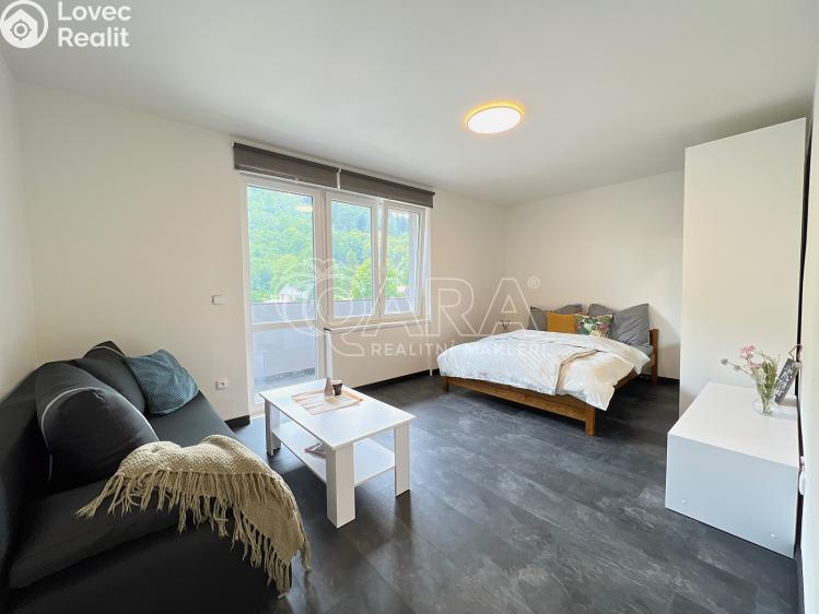 Prodej bytu 1+1 Město Albrechtice č. 2