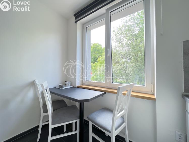 Prodej bytu 1+1 Město Albrechtice č. 5