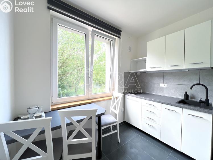 Prodej bytu 1+1 Město Albrechtice č. 6