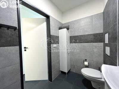 Prodej bytu 1+1 Město Albrechtice č. 4