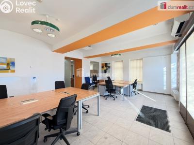 Rent office space Mladá Boleslav, Bělská č. 5
