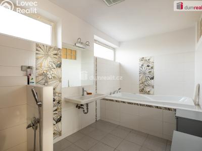 Prodej rodinného domu Kralupy nad Vltavou, Spojovací č. 19