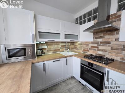 Pronájem bytu 3+1 Znojmo, Pod Soudním vrchem č. 3