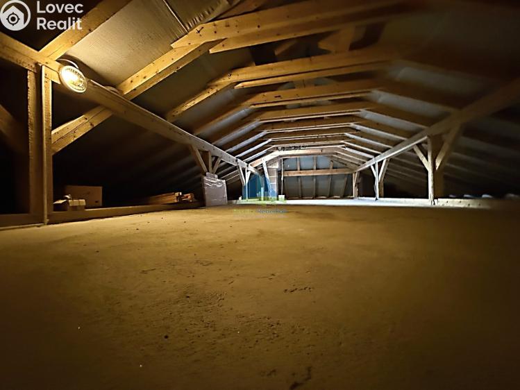 Prodej rodinného domu Františkovy Lázně, Lomanská 297/2 č. 21