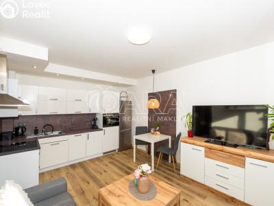 Pronájem bytu 2+KK Trutnov, Michnova 804 č. 1