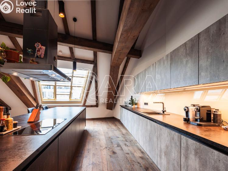 Rent apartment 5+KK Praha, Truhlářská 1105/11 č. 4