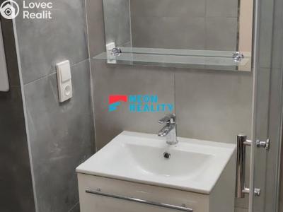 Pronájem bytu 1+1 Ostrava, Volgogradská č. 4