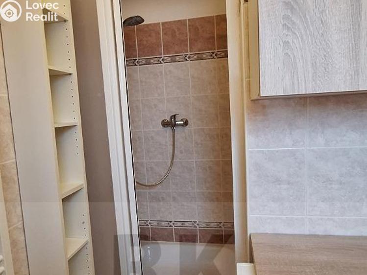 Pronájem bytu 1+1 Rebešovice č. 7