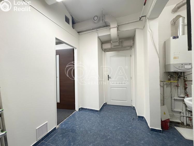 Pronájem obchodního prostoru Praha, Zborovská č. 19