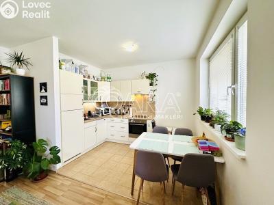 Pronájem bytu 2+KK Plzeň, U Ježíška č. 4