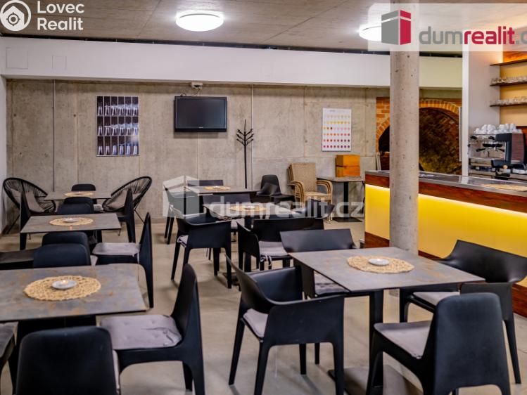 Pronájem obchodního prostoru Pavlov, Česká č. 2