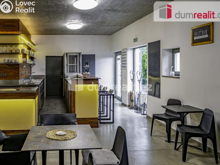 Pronájem obchodního prostoru Pavlov, Česká č. 6