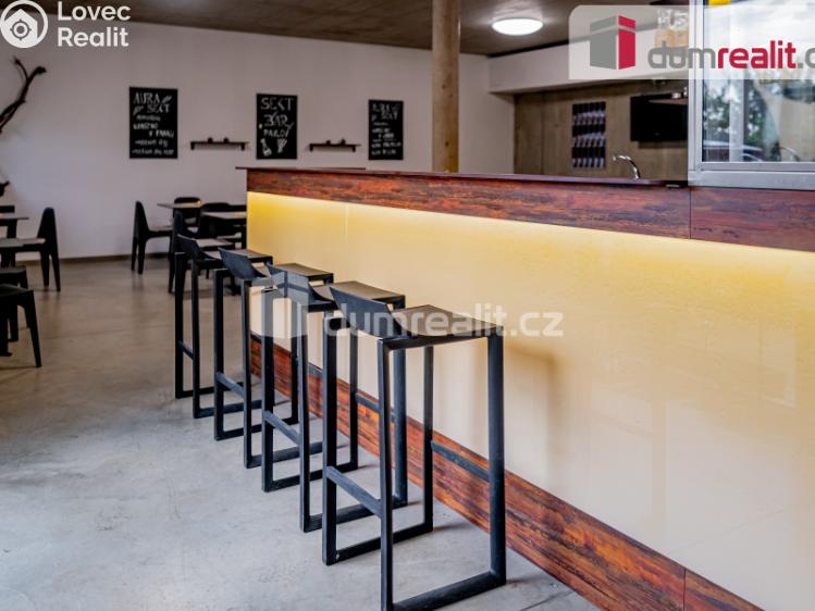 Pronájem obchodního prostoru Pavlov, Česká č. 8