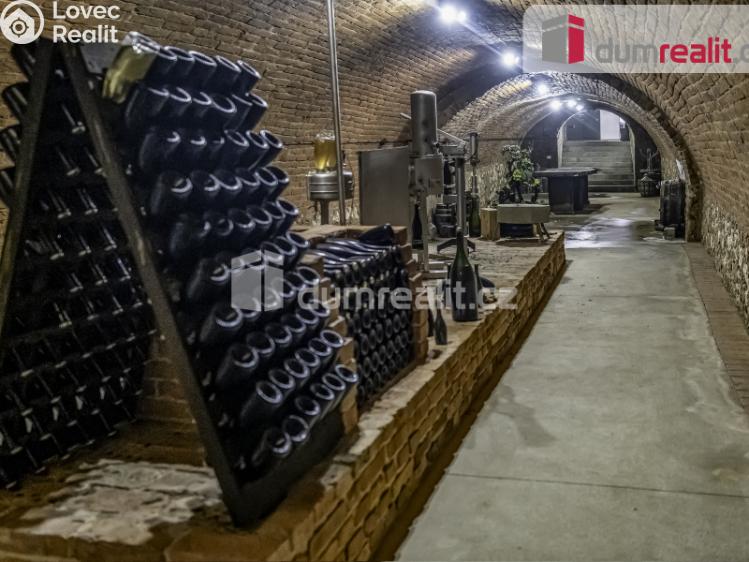 Pronájem obchodního prostoru Pavlov, Česká č. 11