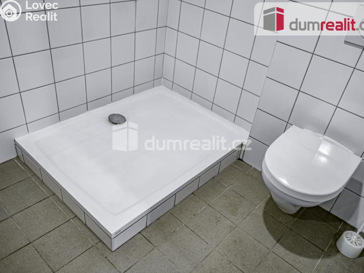 Pronájem obchodního prostoru Pavlov, Česká č. 15