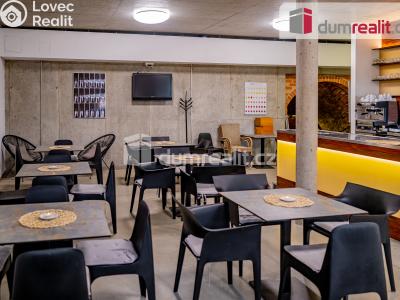 Pronájem obchodního prostoru Pavlov, Česká č. 2