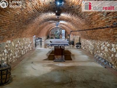 Pronájem obchodního prostoru Pavlov, Česká č. 3