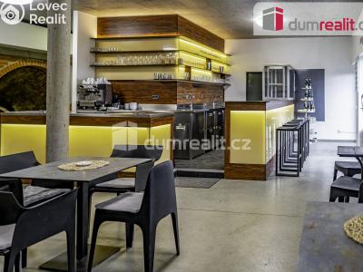 Pronájem obchodního prostoru Pavlov, Česká č. 5