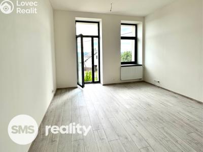 Pronájem bytu 1+KK Hradec nad Moravicí č. 1