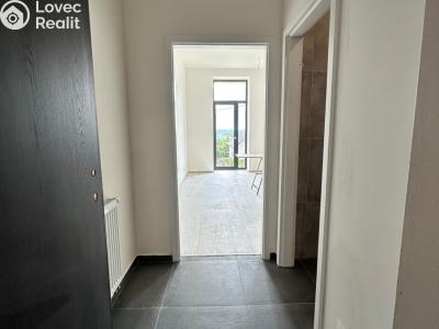 Pronájem bytu 1+KK Hradec nad Moravicí č. 3