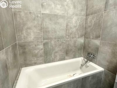 Pronájem bytu 1+KK Hradec nad Moravicí č. 4