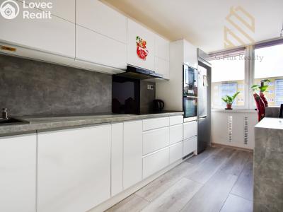 Prodej bytu 3+1 Most, Josefa Ševčíka č. 2