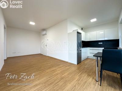 Pronájem bytu 1+KK Přerov, Čechova č. 3