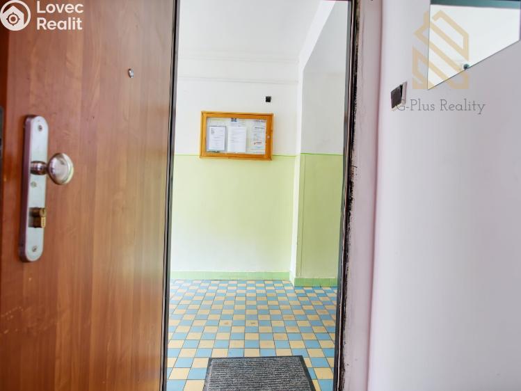 Sale apartment 1+KK Most, Františka Halase č. 7