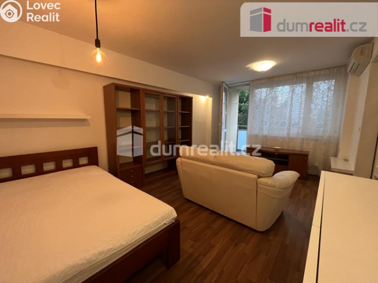 Pronájem bytu 1+1 Kralupy nad Vltavou, sídl. Hůrka č. 3