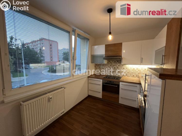 Pronájem bytu 1+1 Kralupy nad Vltavou, sídl. Hůrka č. 4