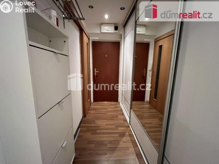 Pronájem bytu 1+1 Kralupy nad Vltavou, sídl. Hůrka č. 8