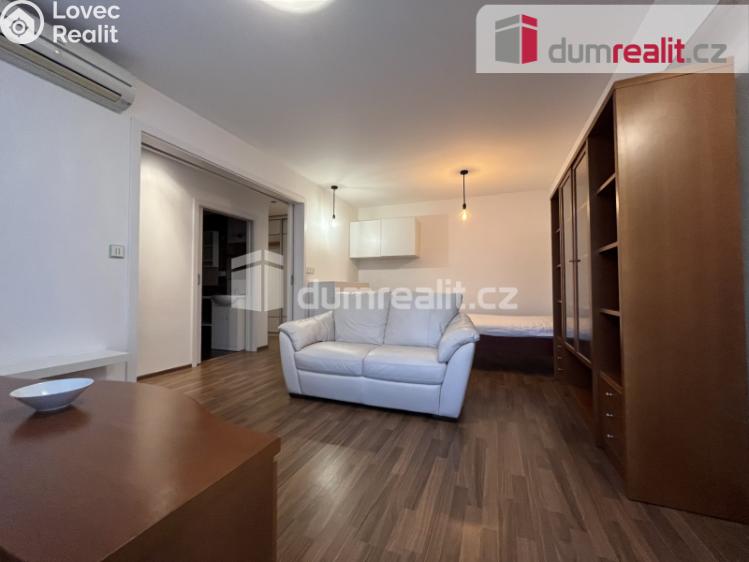 Pronájem bytu 1+1 Kralupy nad Vltavou, sídl. Hůrka č. 8