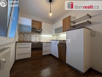 Pronájem bytu 1+1 Kralupy nad Vltavou, sídl. Hůrka č. 1