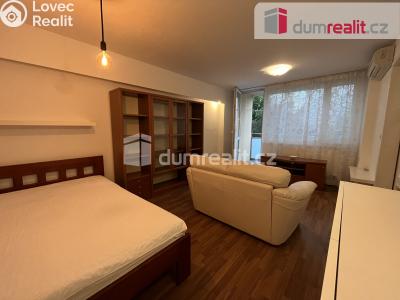 Pronájem bytu 1+1 Kralupy nad Vltavou, sídl. Hůrka č. 3