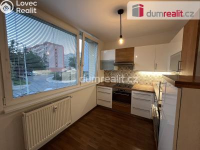 Pronájem bytu 1+1 Kralupy nad Vltavou, sídl. Hůrka č. 4