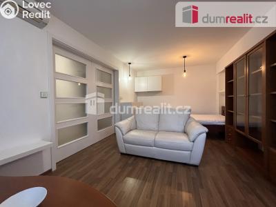 Pronájem bytu 1+1 Kralupy nad Vltavou, sídl. Hůrka č. 6