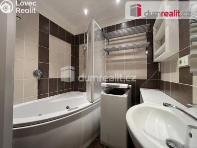 Pronájem bytu 1+1 Kralupy nad Vltavou, sídl. Hůrka č. 2