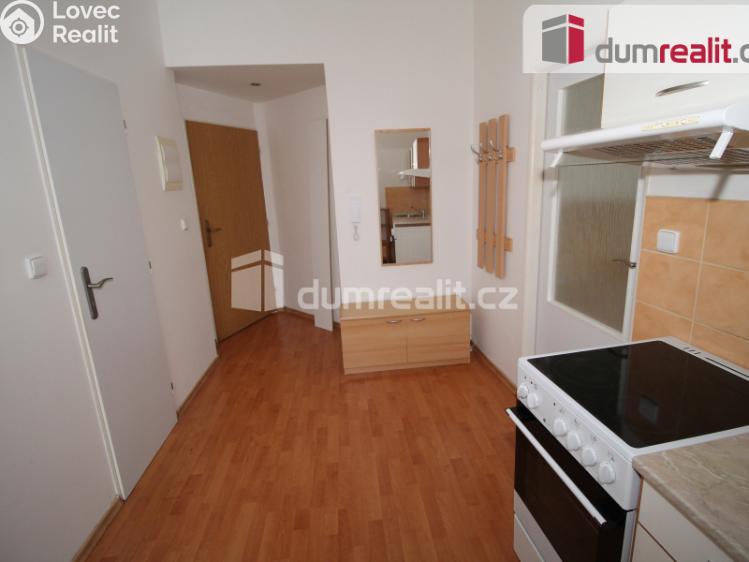 Pronájem bytu 1+1 Mariánské Lázně, Ruská č. 11