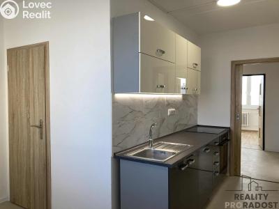 Pronájem bytu 4+1 Znojmo, náměstí Svobody č. 1