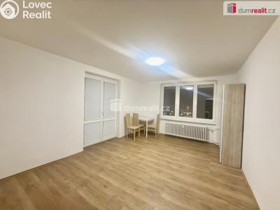 Pronájem bytu 1+1 Ústí nad Labem, Velká Hradební č. 5