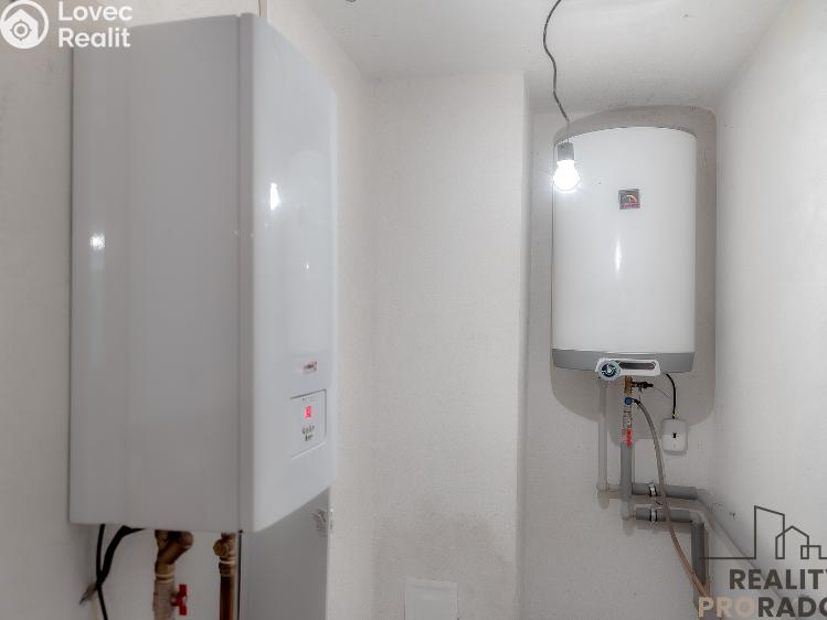 Продажа семейного дома Vranov nad Dyjí, Zadní Hamry č. 18