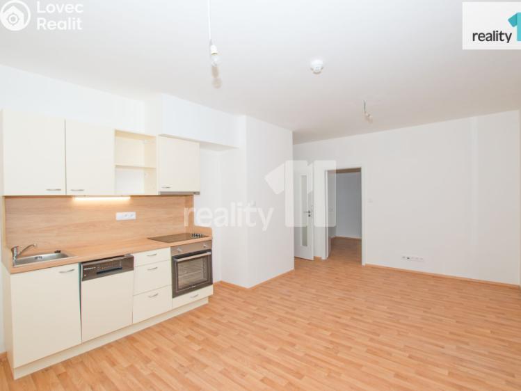 Pronájem bytu 1+KK Liberec, U Nisy č. 4