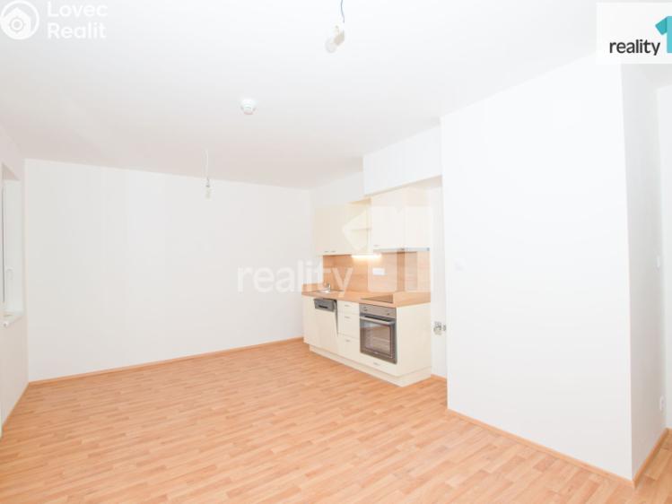 Pronájem bytu 1+KK Liberec, U Nisy č. 6