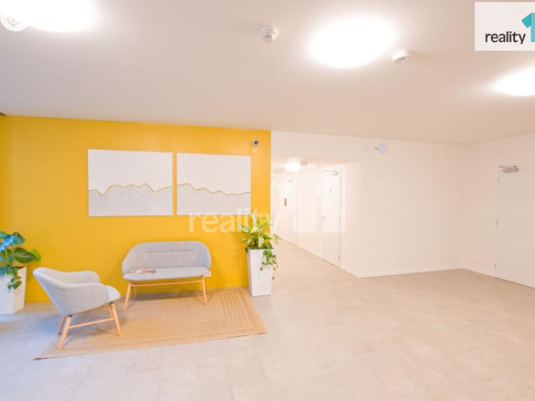 Pronájem bytu 1+KK Liberec, U Nisy č. 10