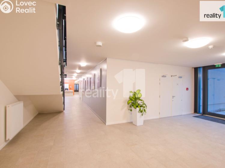 Pronájem bytu 1+KK Liberec, U Nisy č. 11