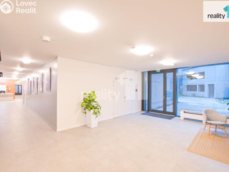 Pronájem bytu 1+KK Liberec, U Nisy č. 12