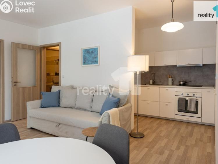 Pronájem bytu 1+KK Liberec, U Nisy č. 19