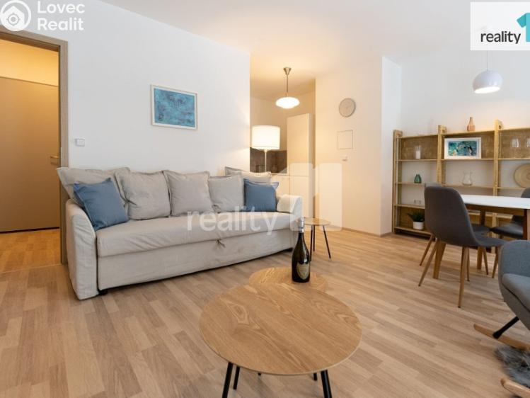 Pronájem bytu 1+KK Liberec, U Nisy č. 21